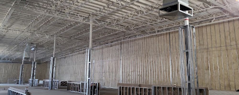 Alpha Insulation Cover Image