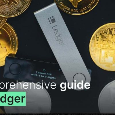 blockchain development company for business- scaling Parrots