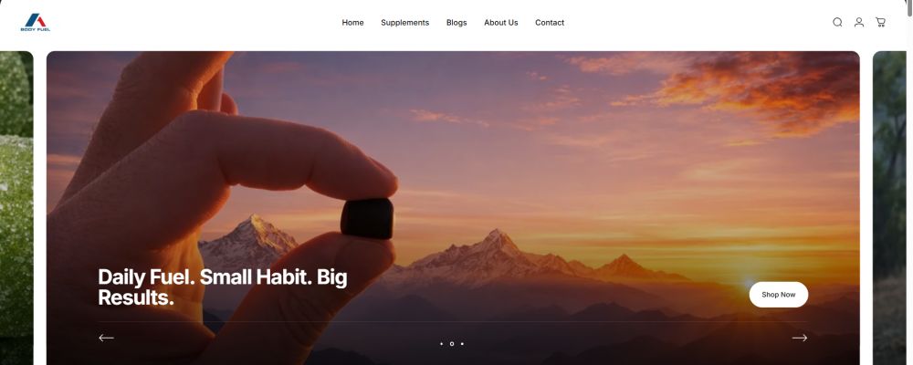 A1 Body Fuel Cover Image