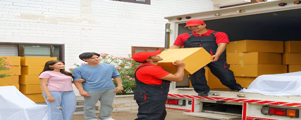 Removalist Auction Cover Image