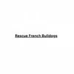Rescue French Bulldogs