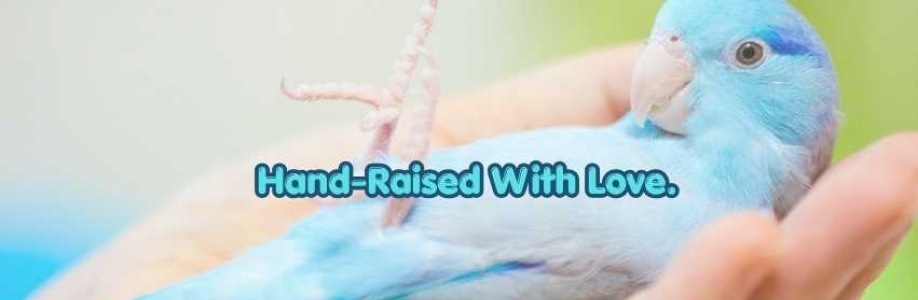 Mo's Birds Cover Image