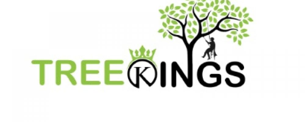Tree Kings Cover Image