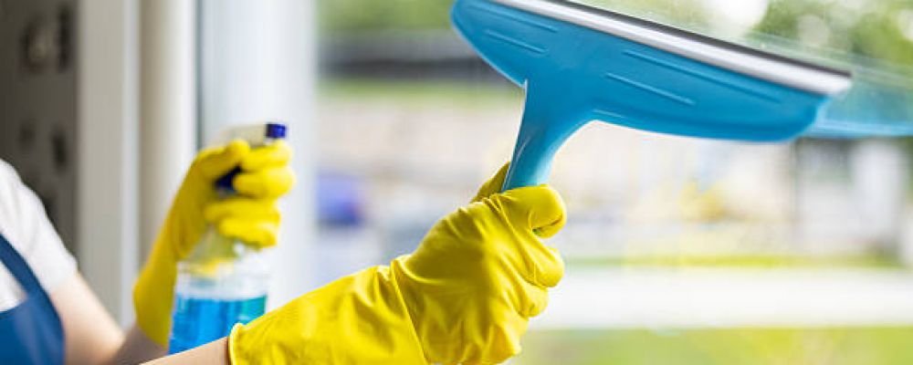 Lion Cleaning LLC Cover Image