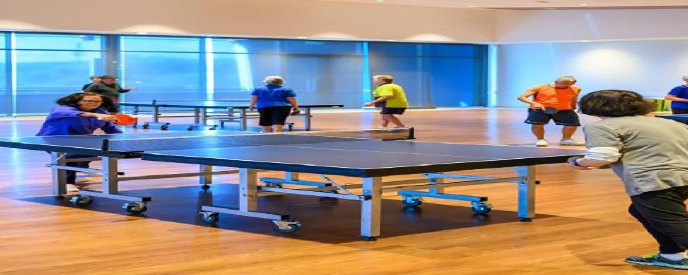 StrayShop B.V. Cover Image