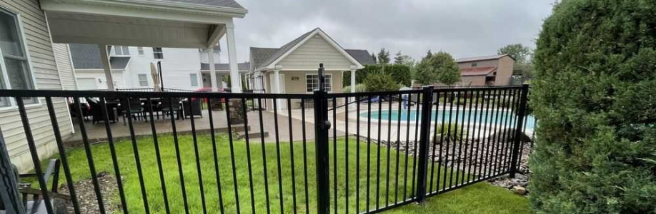 Level Fences Cover Image