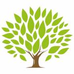 Ironwood LLC