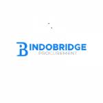 indobridgeprocurement indobridgeprocurement