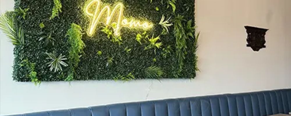 Calgary Momo House Cover Image
