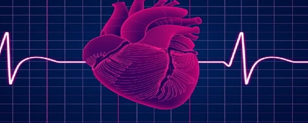 Reddy Heart Institute Cover Image