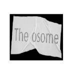 the osome Profile Picture