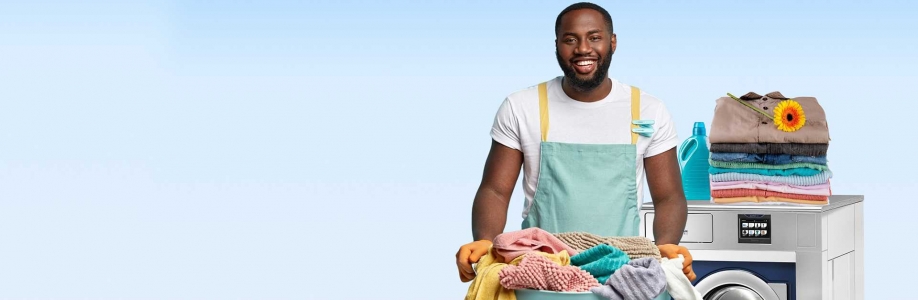 Ark Valley Laundromat Cover Image