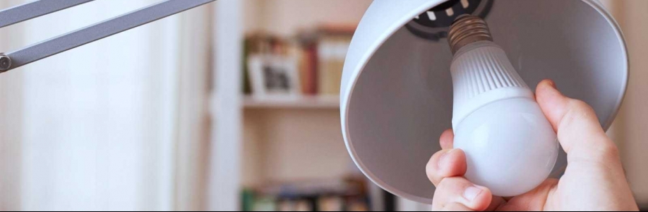 Light Bulb Wholesaler Cover Image