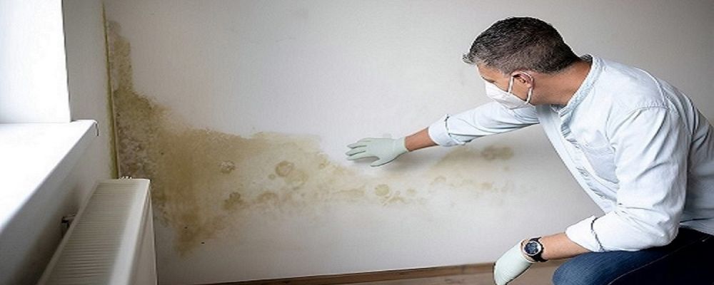 The Mould Assessors Cover Image