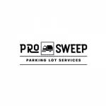 Pro Sweep Amarillo