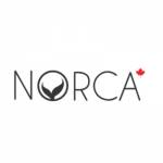 Norca Swim