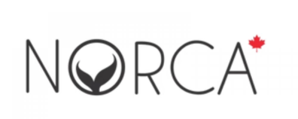 Norca Swim Cover Image