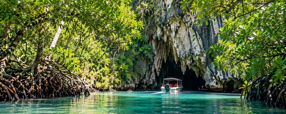 Online Vacations Cover Image