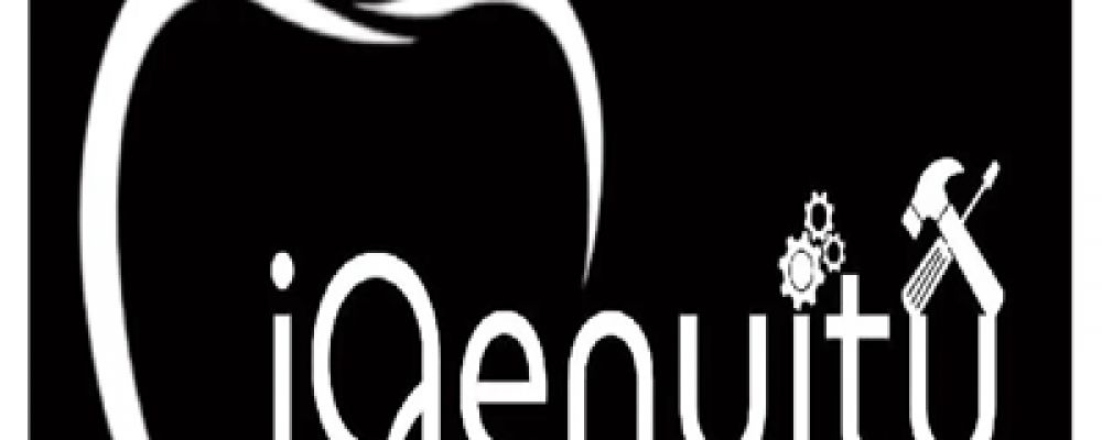 Igenuity service Cover Image
